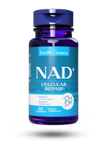 WhatsApp Image 2026-01-30 at 1.52.09 PM.jpeg